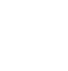 School crest lion mark